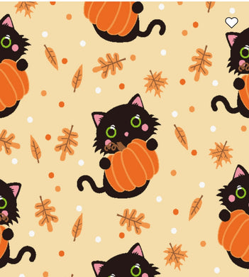 Black Cat Pumpkin