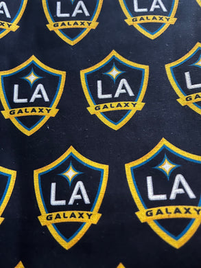 LA Galaxy