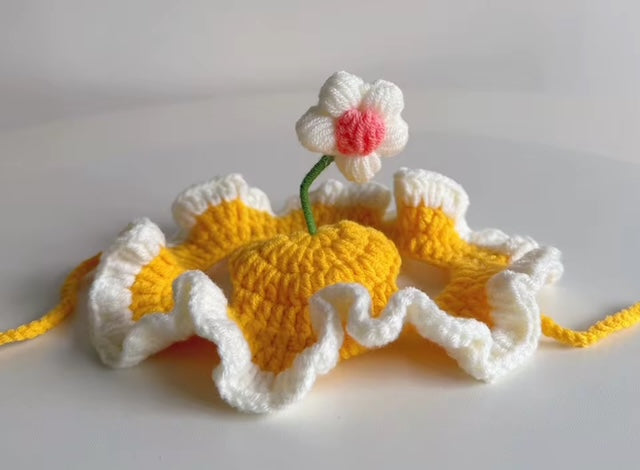 PET CROCHETE HATS