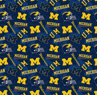 University of Michigan Wolverines