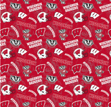 Wisconsin U Badgers